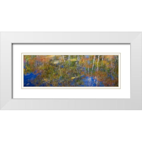 USA-New Hampshire-Gorham Autumn colors reflected in small pond White Modern Wood Framed Art Print with Double Matting by Gulin, Sylvia