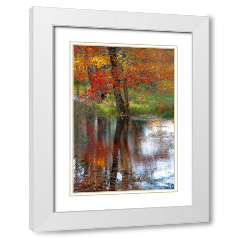 USA-New Hampshire-Jackson-Autumn in New England with Fall Color of Maple Tree reflected in small po White Modern Wood Framed Art Print with Double Matting by Gulin, Sylvia