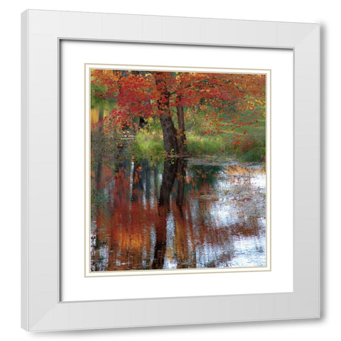USA-New Hampshire-Jackson-Autumn in New England with Fall Color of Maple Tree reflected in small po White Modern Wood Framed Art Print with Double Matting by Gulin, Sylvia