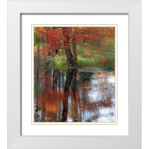 USA-New Hampshire-Jackson-Autumn in New England with Fall Color of Maple Tree reflected in small po White Modern Wood Framed Art Print with Double Matting by Gulin, Sylvia