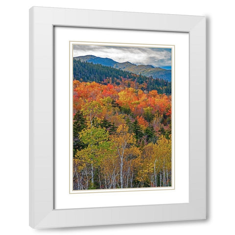 USA-New Hampshire-New England Fall colors on hillsides along highway 16 north of Jackson White Modern Wood Framed Art Print with Double Matting by Gulin, Sylvia