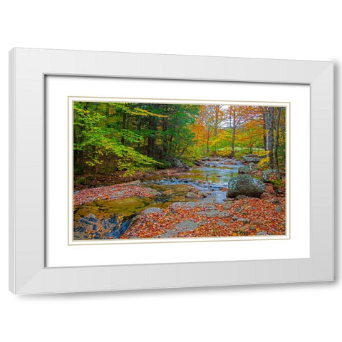 USA-New Hampshire-New England-Jackson small stream surrounded in Fall color White Modern Wood Framed Art Print with Double Matting by Gulin, Sylvia