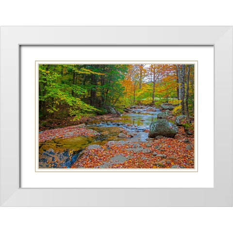 USA-New Hampshire-New England-Jackson small stream surrounded in Fall color White Modern Wood Framed Art Print with Double Matting by Gulin, Sylvia