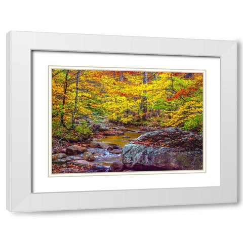 USA-New Hampshire-New England-Jackson small stream surrounded in Fall color White Modern Wood Framed Art Print with Double Matting by Gulin, Sylvia