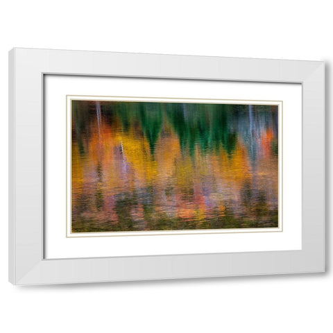 USA-New Hampshire-New England Fall colors reflected in the waters of the Saco River Crawford Notch  White Modern Wood Framed Art Print with Double Matting by Gulin, Sylvia