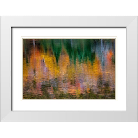 USA-New Hampshire-New England Fall colors reflected in the waters of the Saco River Crawford Notch  White Modern Wood Framed Art Print with Double Matting by Gulin, Sylvia