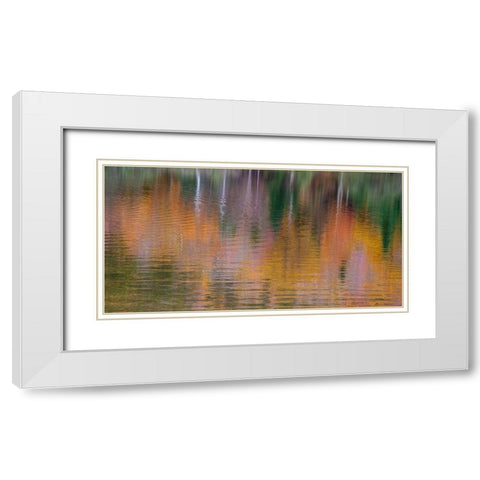 USA-New Hampshire-New England Fall colors reflected in the waters of the Saco River Crawford Notch  White Modern Wood Framed Art Print with Double Matting by Gulin, Sylvia