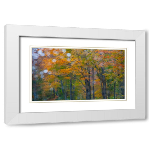 USA-New Hampshire-Sugar Hill looking through windshield on rainy day with Hardwood trees in Autumn  White Modern Wood Framed Art Print with Double Matting by Gulin, Sylvia