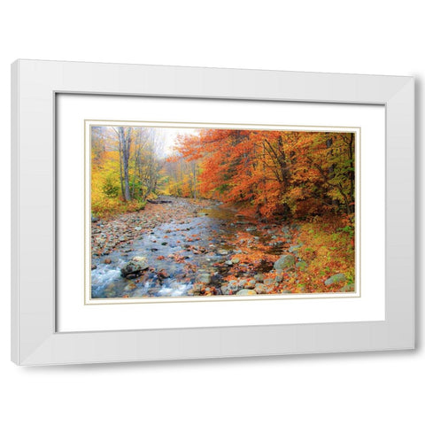 USA-New Hampshire Autumn colors on Maple-Beech trees along the edge of the river White Modern Wood Framed Art Print with Double Matting by Gulin, Sylvia