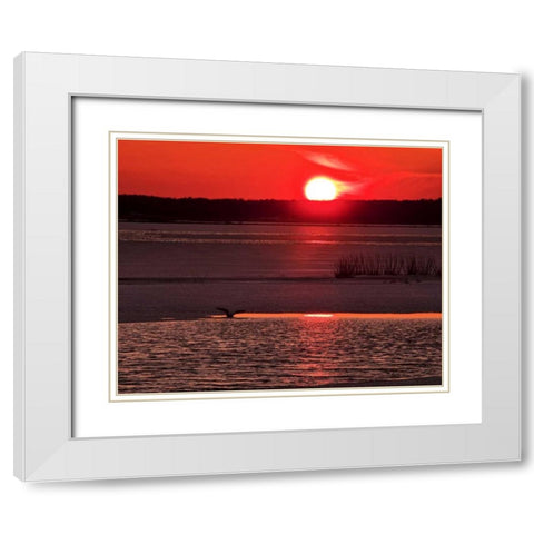 New Jersey, Cape May Sunset reflection on water White Modern Wood Framed Art Print with Double Matting by OBrien, Jay
