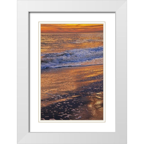 New Jersey, Cape May Sunset on the beach White Modern Wood Framed Art Print with Double Matting by OBrien, Jay