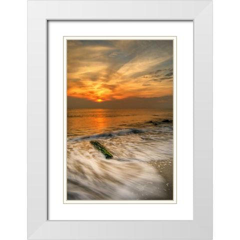 New Jersey, Cape May Scenic on Cape May Beach White Modern Wood Framed Art Print with Double Matting by OBrien, Jay