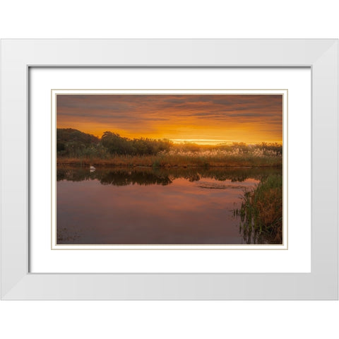 USA-New Jersey-Cape May National Seashore Sunrise on marsh White Modern Wood Framed Art Print with Double Matting by Jaynes Gallery