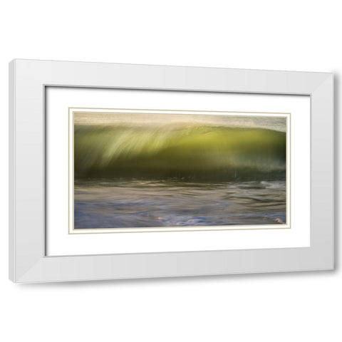 USA-New Jersey-Cape May National Seashore White Modern Wood Framed Art Print with Double Matting by Jaynes Gallery