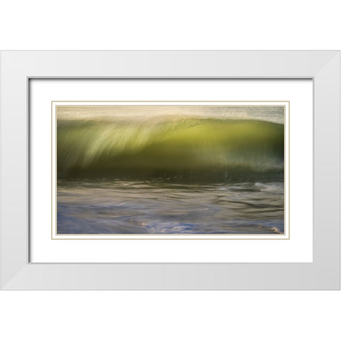 USA-New Jersey-Cape May National Seashore White Modern Wood Framed Art Print with Double Matting by Jaynes Gallery