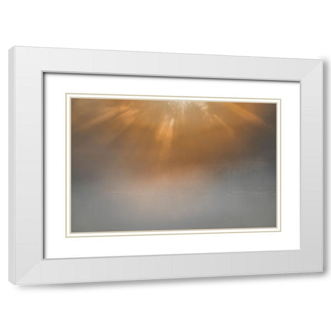 USA-New Jersey-Cape May National Seashore Sunrise beams on foggy ocean White Modern Wood Framed Art Print with Double Matting by Jaynes Gallery