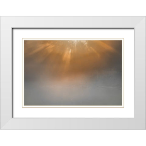 USA-New Jersey-Cape May National Seashore Sunrise beams on foggy ocean White Modern Wood Framed Art Print with Double Matting by Jaynes Gallery