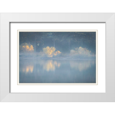 USA-New Jersey-Cape May National Seashore Foggy forest reflections on lake at sunrise White Modern Wood Framed Art Print with Double Matting by Jaynes Gallery