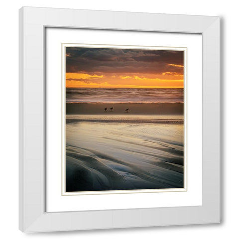 USA-New Jersey-Cape May National Seashore Cloudy sunset on seashore White Modern Wood Framed Art Print with Double Matting by Jaynes Gallery