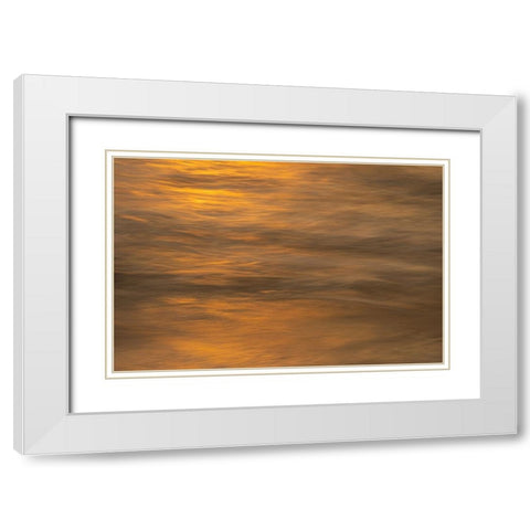 USA-New Jersey-Cape May National Seashore Ocean reflections at sunset White Modern Wood Framed Art Print with Double Matting by Jaynes Gallery