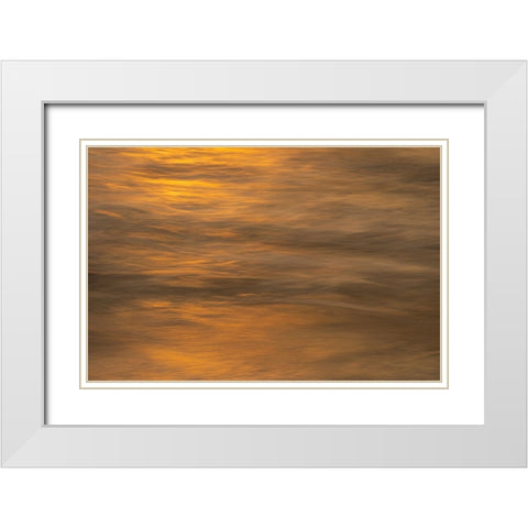 USA-New Jersey-Cape May National Seashore Ocean reflections at sunset White Modern Wood Framed Art Print with Double Matting by Jaynes Gallery