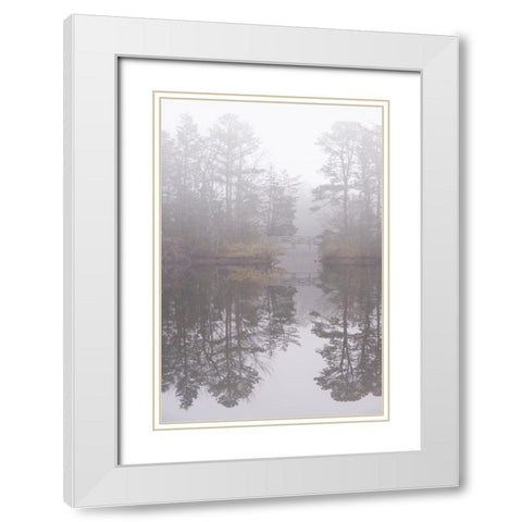 USA-New Jersey-Pine Barrens National Preserve Foggy forest landscape and bridge reflect in lake White Modern Wood Framed Art Print with Double Matting by Jaynes Gallery