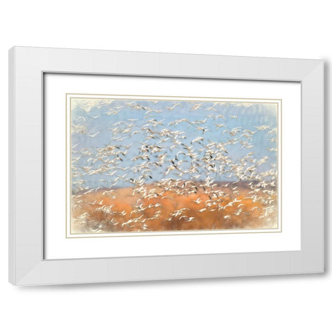 Painting effect on snow geese flying Bosque del Apache National Wildlife Refuge-New Mexico White Modern Wood Framed Art Print with Double Matting by Jones, Adam