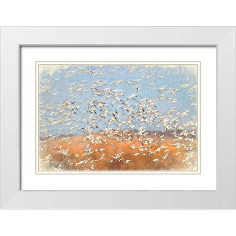 Painting effect on snow geese flying Bosque del Apache National Wildlife Refuge-New Mexico White Modern Wood Framed Art Print with Double Matting by Jones, Adam