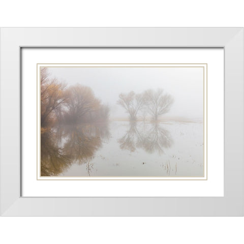 Trees on foggy morning-Bosque del Apache National Wildlife Refuge-New Mexico White Modern Wood Framed Art Print with Double Matting by Jones, Adam