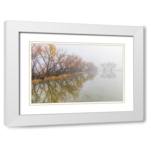 Trees on foggy morning-Bosque del Apache National Wildlife Refuge-New Mexico White Modern Wood Framed Art Print with Double Matting by Jones, Adam
