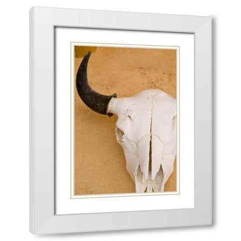 New Mexico, Santa Fe Animal skull on wall White Modern Wood Framed Art Print with Double Matting by Ross, Nancy ,  Steve