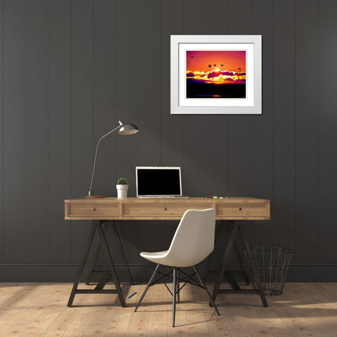 New Mexico Sandhill cranes flying through sunset White Modern Wood Framed Art Print with Double Matting by Kelley, David