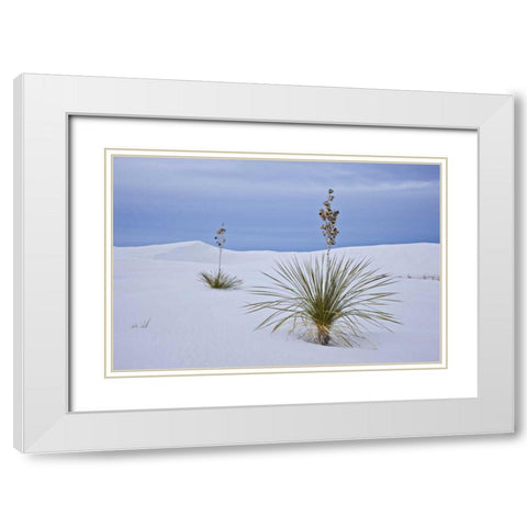 New Mexico, White Sands NM Yucca on sand dunes White Modern Wood Framed Art Print with Double Matting by Grall, Don