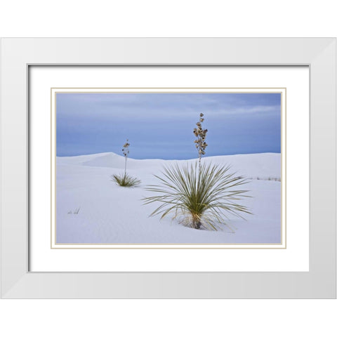 New Mexico, White Sands NM Yucca on sand dunes White Modern Wood Framed Art Print with Double Matting by Grall, Don