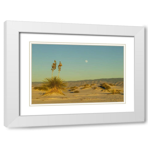 New Mexico, White Sands NM Moonrise over desert White Modern Wood Framed Art Print with Double Matting by Illg, Cathy and Gordon