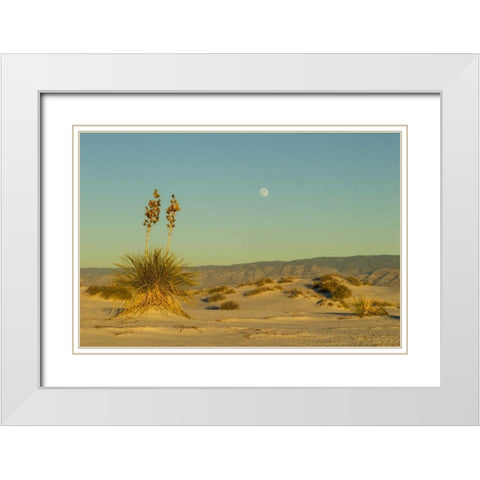 New Mexico, White Sands NM Moonrise over desert White Modern Wood Framed Art Print with Double Matting by Illg, Cathy and Gordon
