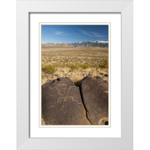 New Mexico, Three Rivers Petroglyph on rock White Modern Wood Framed Art Print with Double Matting by Illg, Cathy and Gordon