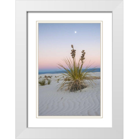 New Mexico, White Sands NM Moon over yucca plant White Modern Wood Framed Art Print with Double Matting by Illg, Cathy and Gordon