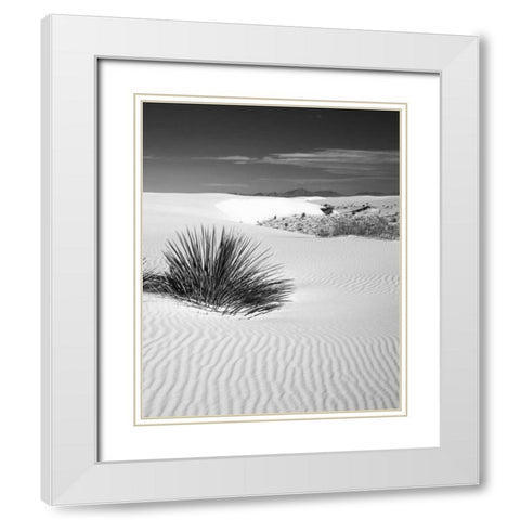 New Mexico, White Sands NM Bush in desert sand White Modern Wood Framed Art Print with Double Matting by Flaherty, Dennis