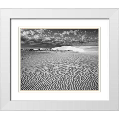 New Mexico, White Sands NM Desert landscape White Modern Wood Framed Art Print with Double Matting by Flaherty, Dennis