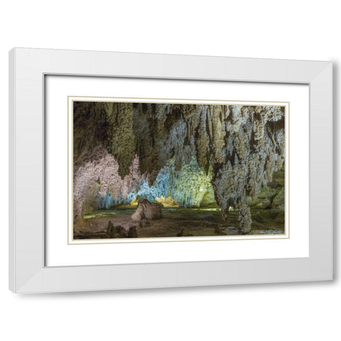 New Mexico, Carlsbad Caverns Scenic of cavern White Modern Wood Framed Art Print with Double Matting by Paulson, Don