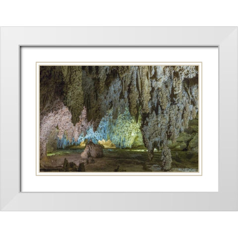 New Mexico, Carlsbad Caverns Scenic of cavern White Modern Wood Framed Art Print with Double Matting by Paulson, Don