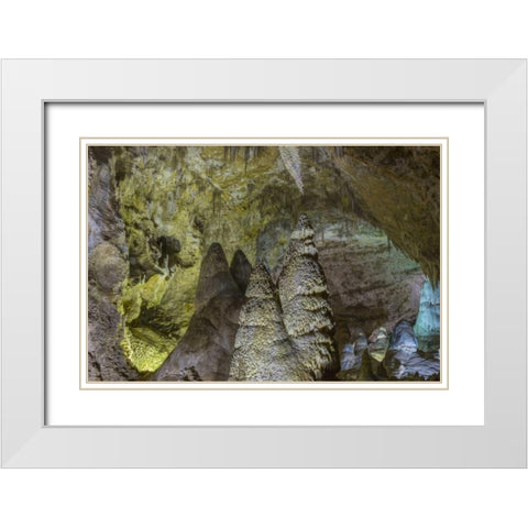 New Mexico, Carlsbad Caverns Scenic of cavern White Modern Wood Framed Art Print with Double Matting by Paulson, Don