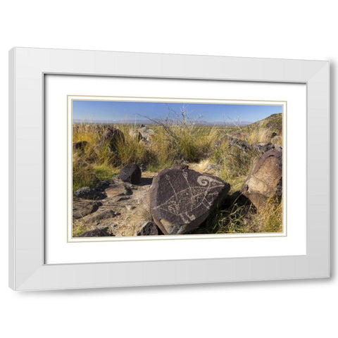 New Mexico, Three Rivers, Petroglyph on rock White Modern Wood Framed Art Print with Double Matting by Paulson, Don