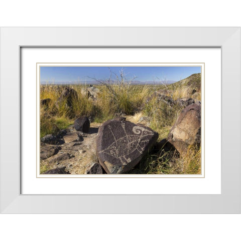 New Mexico, Three Rivers, Petroglyph on rock White Modern Wood Framed Art Print with Double Matting by Paulson, Don