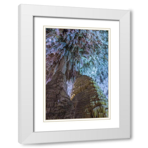 New Mexico, Carlsbad Caverns Scenic of cavern White Modern Wood Framed Art Print with Double Matting by Paulson, Don