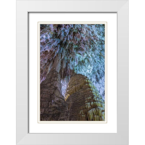 New Mexico, Carlsbad Caverns Scenic of cavern White Modern Wood Framed Art Print with Double Matting by Paulson, Don
