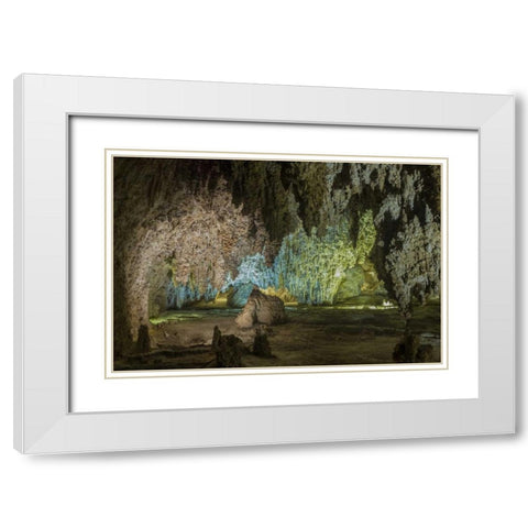 New Mexico, Carlsbad Caverns Scenic of cavern White Modern Wood Framed Art Print with Double Matting by Paulson, Don