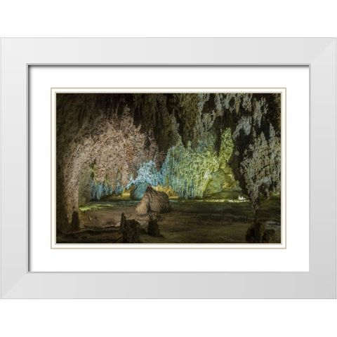 New Mexico, Carlsbad Caverns Scenic of cavern White Modern Wood Framed Art Print with Double Matting by Paulson, Don