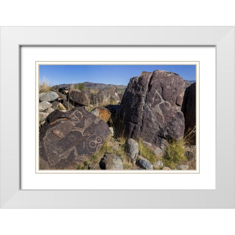 New Mexico, Three Rivers Petroglyph etchings White Modern Wood Framed Art Print with Double Matting by Paulson, Don